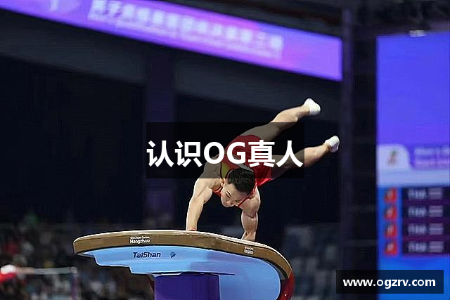 认识OG真人